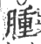 肿(印刷字体·宋·广韵)